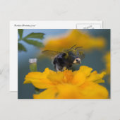 Briefkaart (Voorkant / Achterkant)