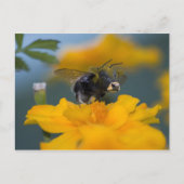 Briefkaart (Voorkant)