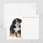 Briefkaart (Voorkant / Achterkant)