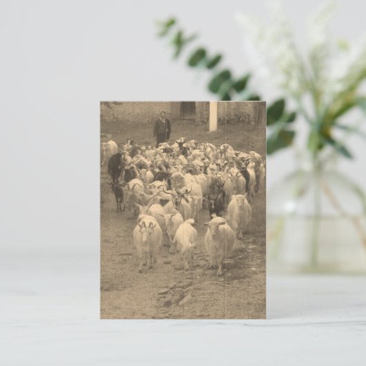 Briefkaart (Staand voorkant)