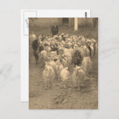 Briefkaart (Voorkant / Achterkant)