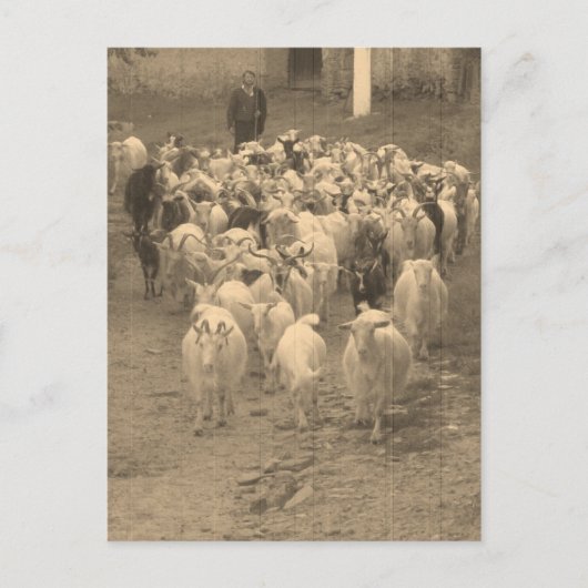 Briefkaart (Voorkant)