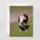 Briefkaart (Voorkant / Achterkant)