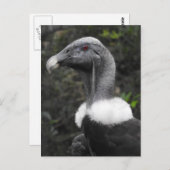 Briefkaart (Voorkant / Achterkant)