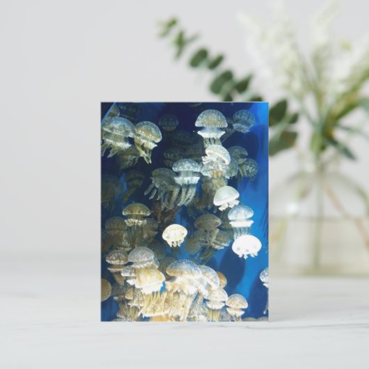 Briefkaart (Staand voorkant)