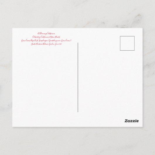 Briefkaart (Achterkant)