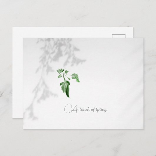 Briefkaart (Voorkant / Achterkant)