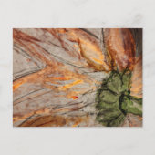 Briefkaart (Voorkant)