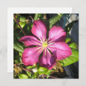 Briefkaart (Voorkant / Achterkant)