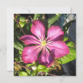 Briefkaart (Voorkant)