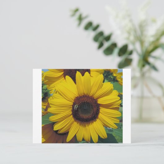 Briefkaart (Staand voorkant)