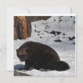 Briefkaart (Voorkant)