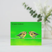 Briefkaart (Staand voorkant)