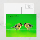 Briefkaart (Voorkant / Achterkant)
