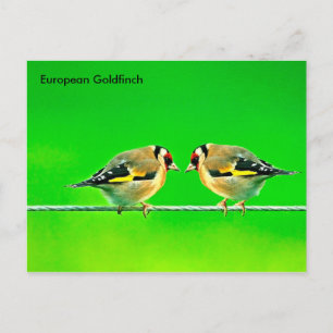 Briefkaart