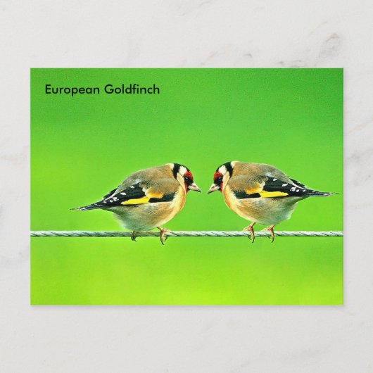 Briefkaart (Voorkant)