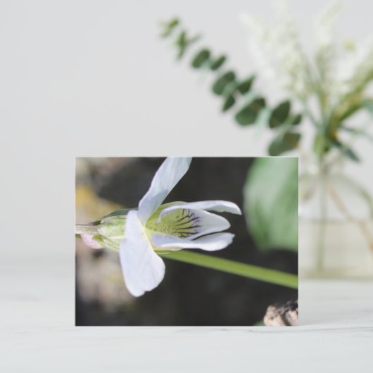 Briefkaart (Staand voorkant)