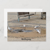 Briefkaart (Voorkant / Achterkant)