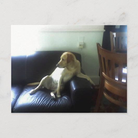  BRIEFKAART (Voorkant)