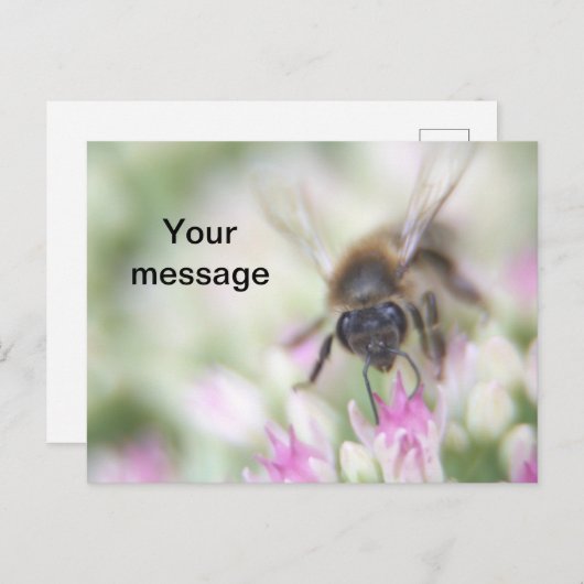 Briefkaart (Voorkant / Achterkant)