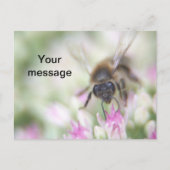 Briefkaart (Voorkant)