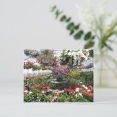 Briefkaart (Staand voorkant)