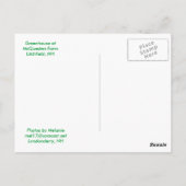 Briefkaart (Achterkant)