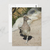 Briefkaart (Voorkant / Achterkant)