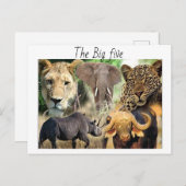 Briefkaart (Voorkant / Achterkant)