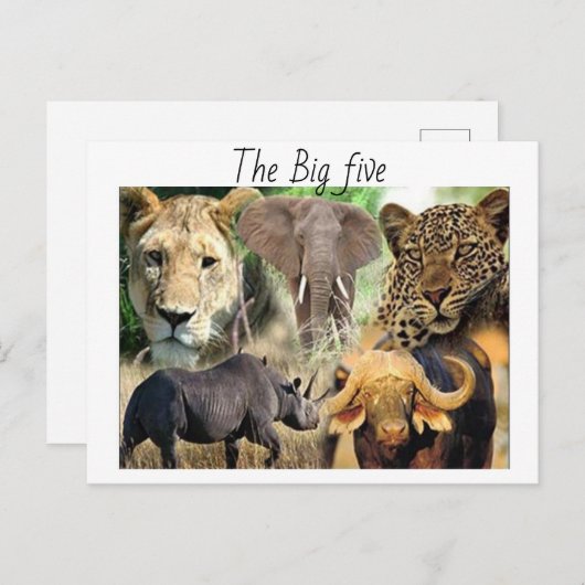 Briefkaart (Voorkant / Achterkant)