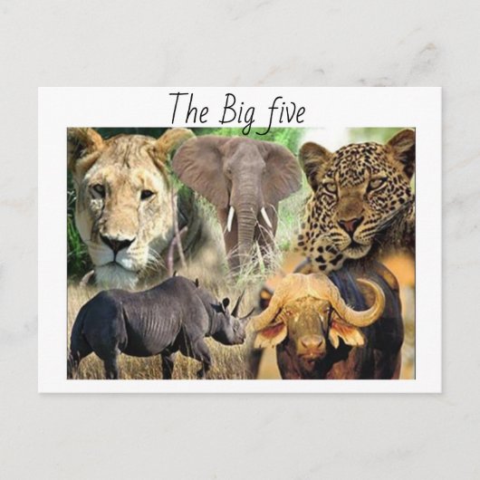 Briefkaart (Voorkant)