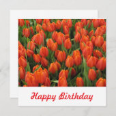 Briefkaart (Voorkant / Achterkant)