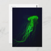 Briefkaart (Voorkant / Achterkant)