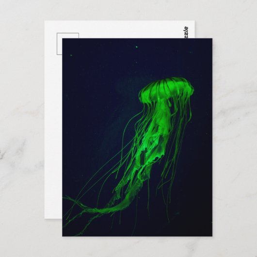 Briefkaart (Voorkant / Achterkant)