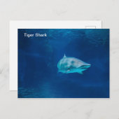 Briefkaart (Voorkant / Achterkant)