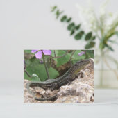 Briefkaart (Staand voorkant)