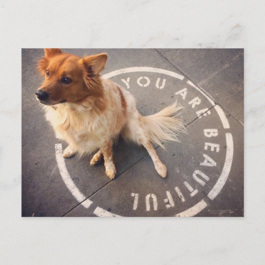 Briefkaart (Voorkant)