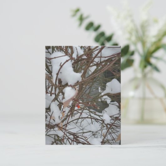 Briefkaart (Staand voorkant)