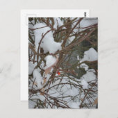 Briefkaart (Voorkant / Achterkant)