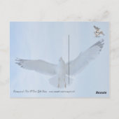 Briefkaart (Achterkant)