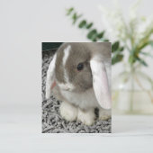 briefkaart (Staand voorkant)