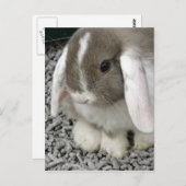 briefkaart (Voorkant / Achterkant)