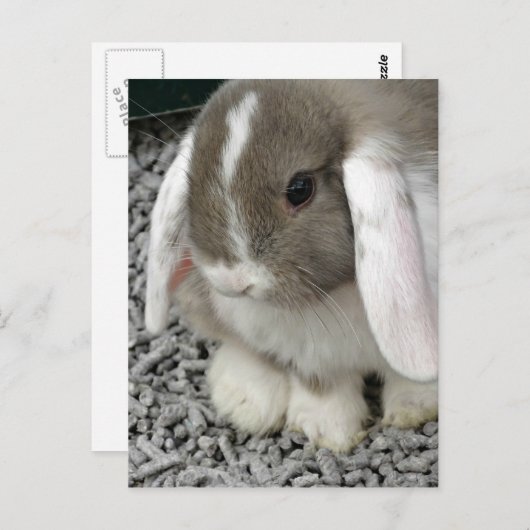 briefkaart (Voorkant / Achterkant)