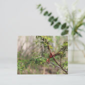 Briefkaart (Staand voorkant)