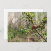 Briefkaart (Voorkant / Achterkant)