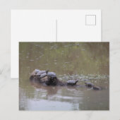 Briefkaart (Voorkant / Achterkant)