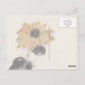  Briefkaart (Achterkant)