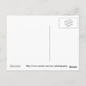 Briefkaart (Achterkant)