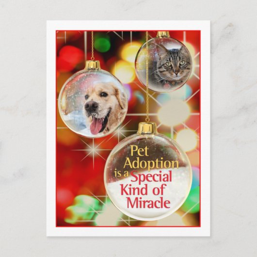 briefkaart (Voorkant)