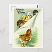 Briefkaart (Voorkant / Achterkant)